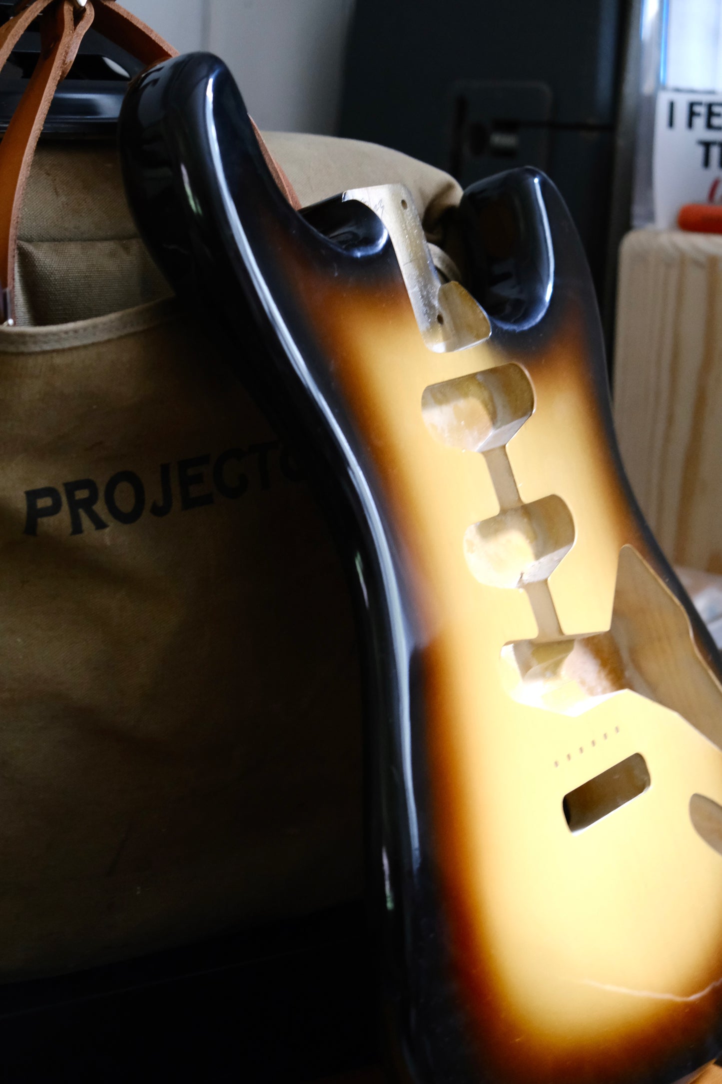 BloomDoom S-Style Nitro Guitar Body