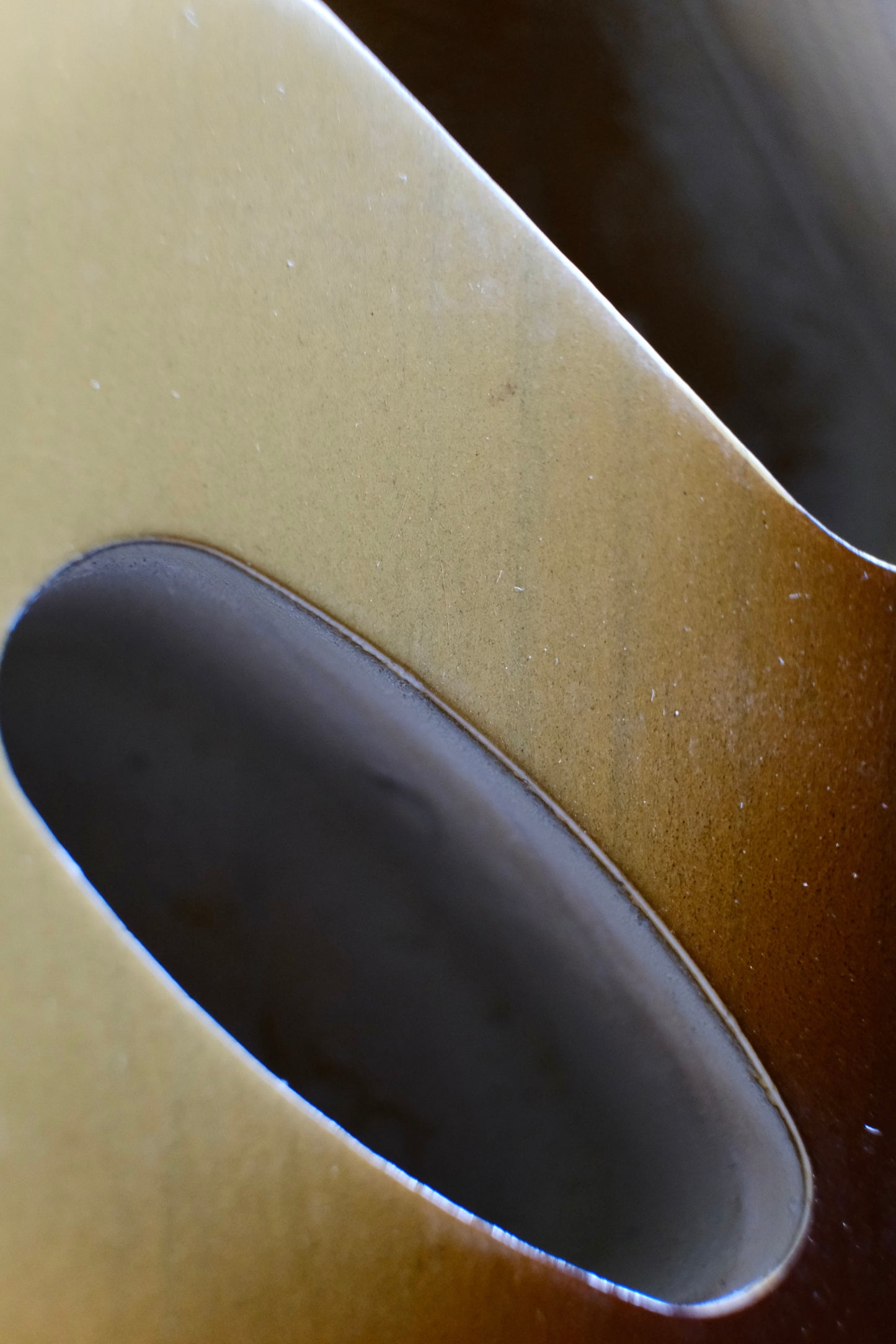 BloomDoom S-Style Nitro Guitar Body