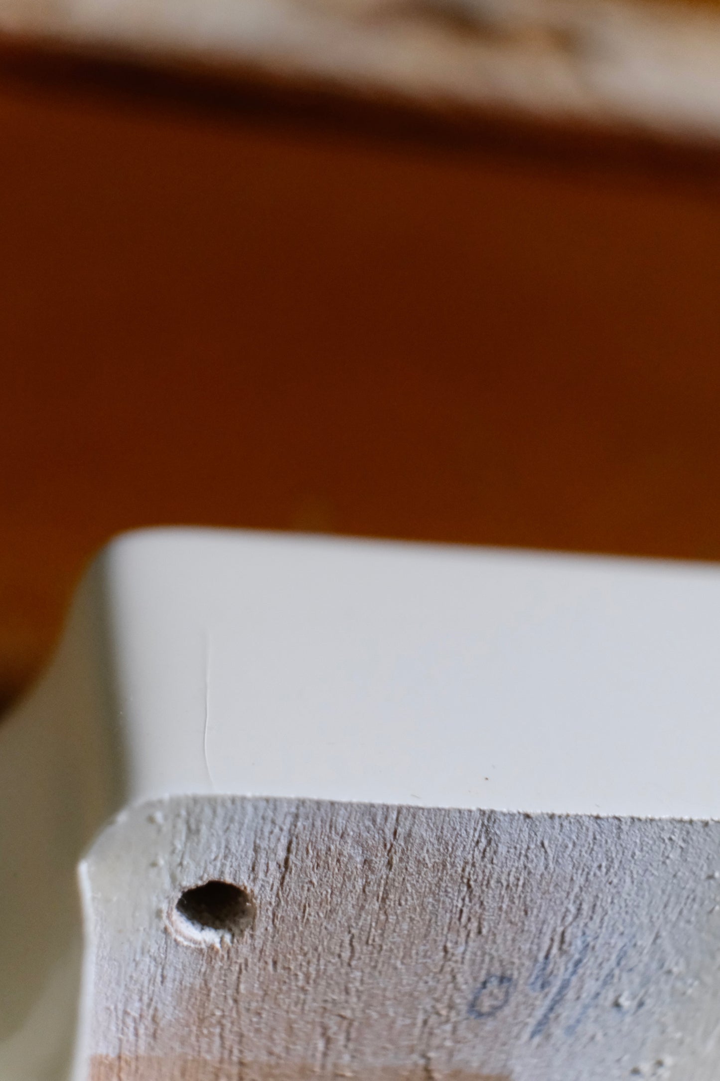 BloomDoom Nitrocellulose Lacquer S-Style Body