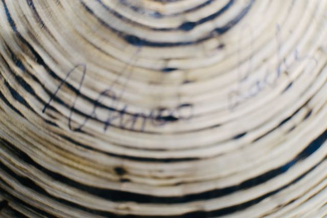 Istanbul Agop 30th Anniversary Flat Ride 20"