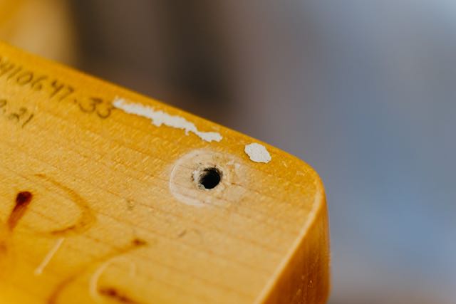 Fender Custom Shop Telecaster Quartersawn Maple Neck