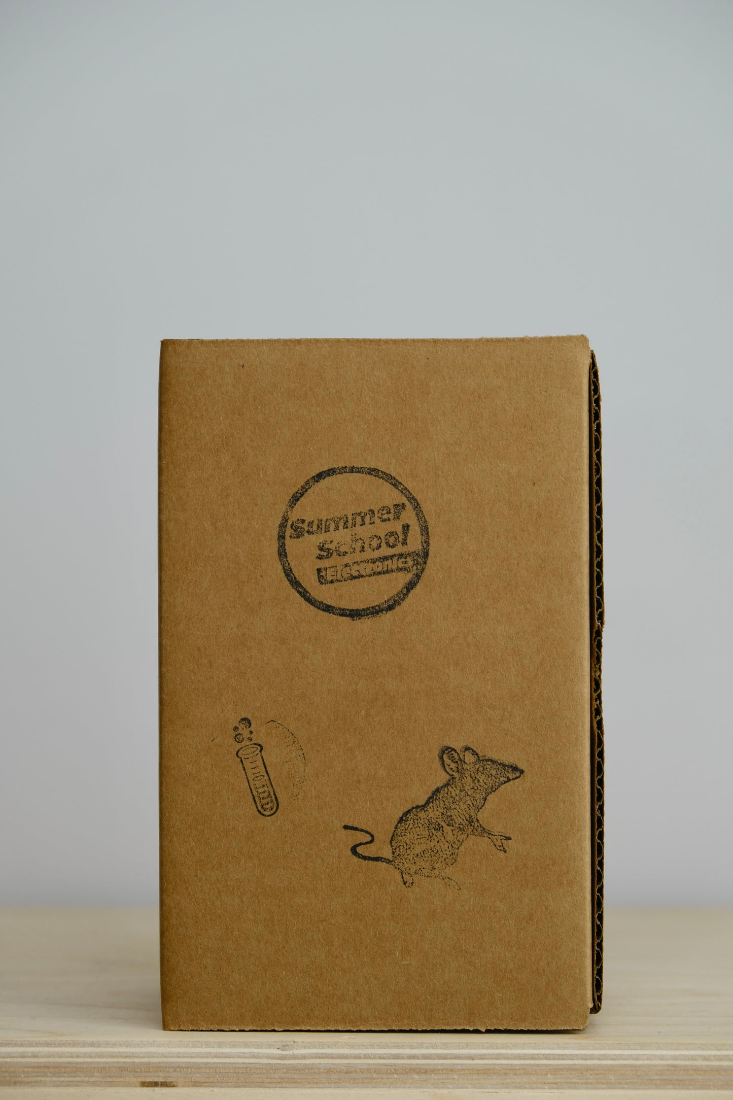 Summer School Science Fair Overdrive/Distortion