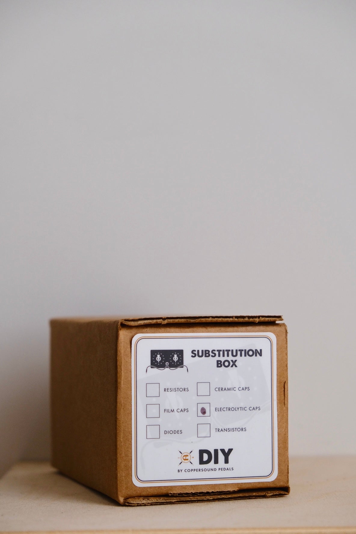 Coppersound DIY Electrolytic Capacitor Substitution Box
