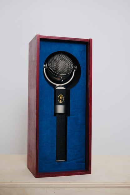 Blue Dragonfly Microphone