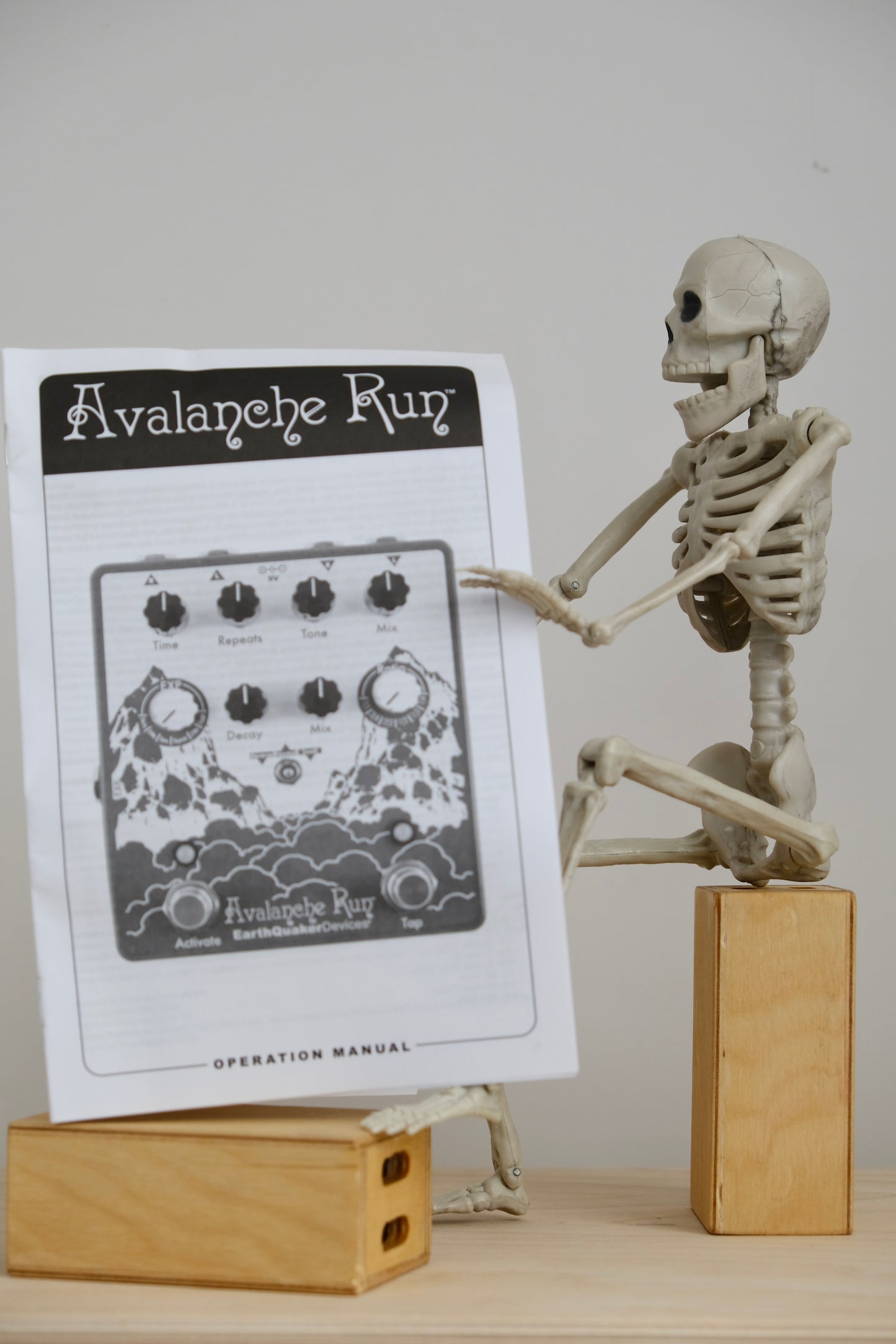 Avalanche Run Stereo Reverb & Delay w/Tap Tempo